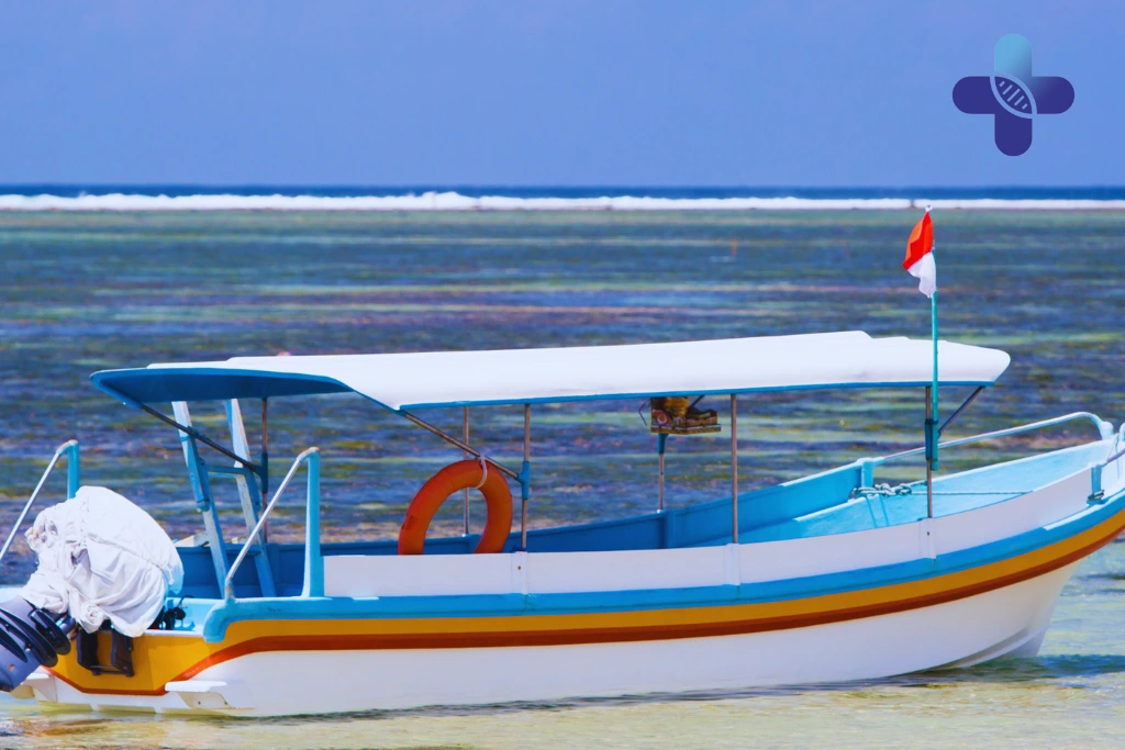 Conclusion Best Dengue Clinic in Bali for Travelers (2025)