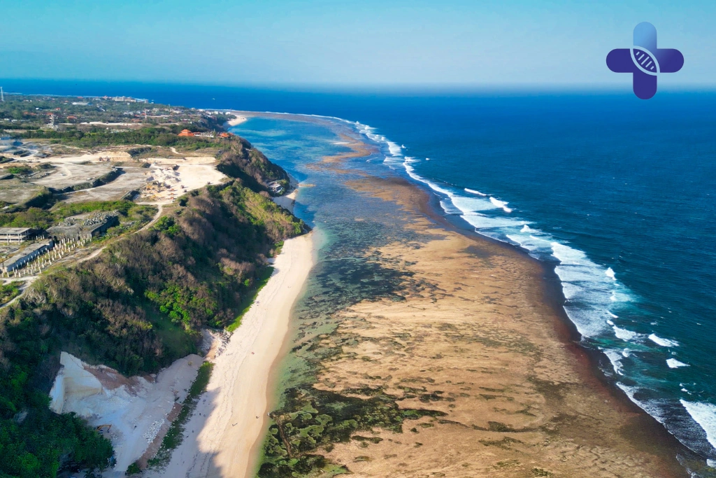 Conclusion Best Medication for Bali Belly (2025 Guide)