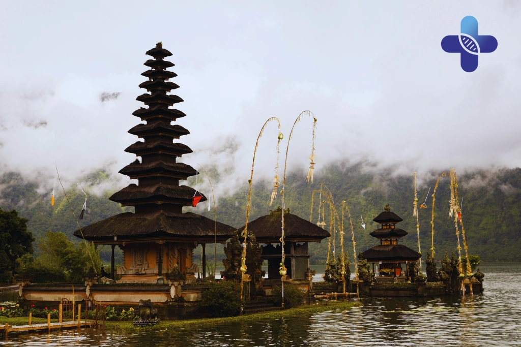 Conclusion Chikungunya Medication in Bali – Effective Medical Therapy at Life Everyouth