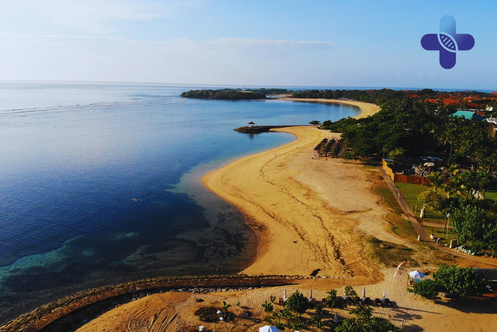 Conclusion Chikungunya Prevention in Bali – Stay Protected with Life Everyouth Medical Guidance