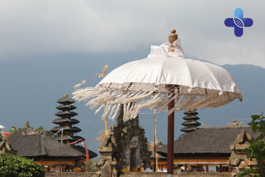 Conclusion Doctor On Call Bali Allergic Reaction _ Fast Relief