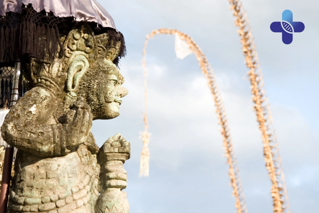 Conclusion Doctor On Call Bali Response Time _ Fast Arrival