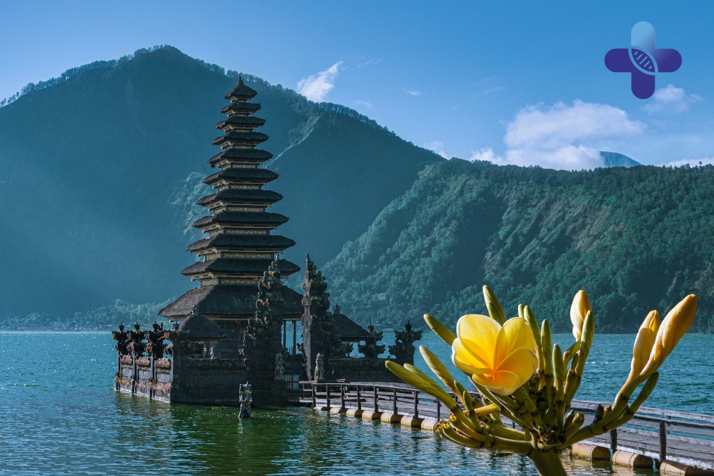 Conclusion Doctor On Call Bali for Migraine & Severe Headache