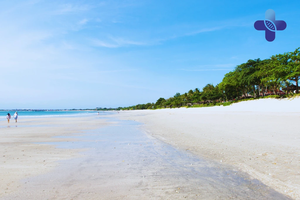 Conclusion Early Dengue Testing for Tourists in Bali (2025)