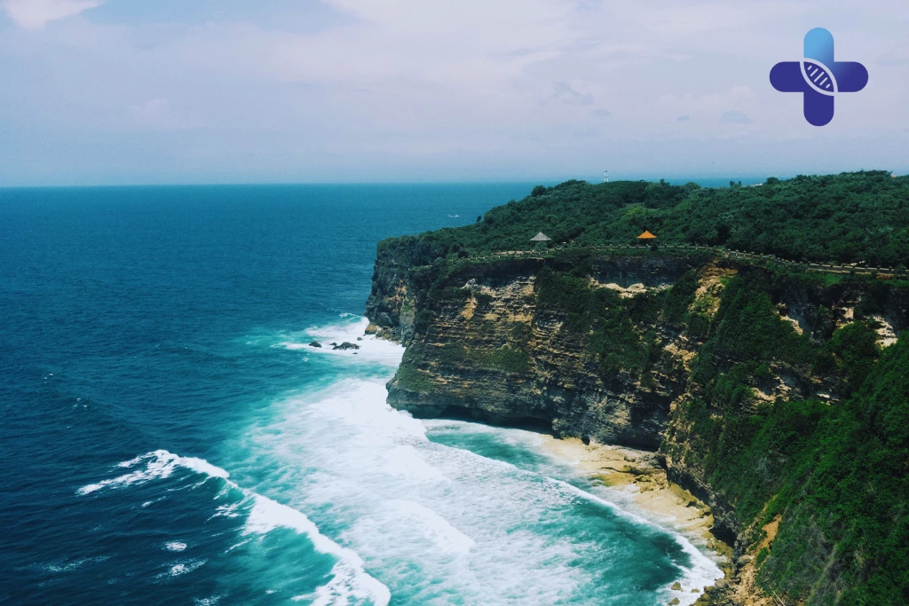 Conclusion How to Prevent Dengue Fever While Traveling in Bali’s Rainy Season (2025)