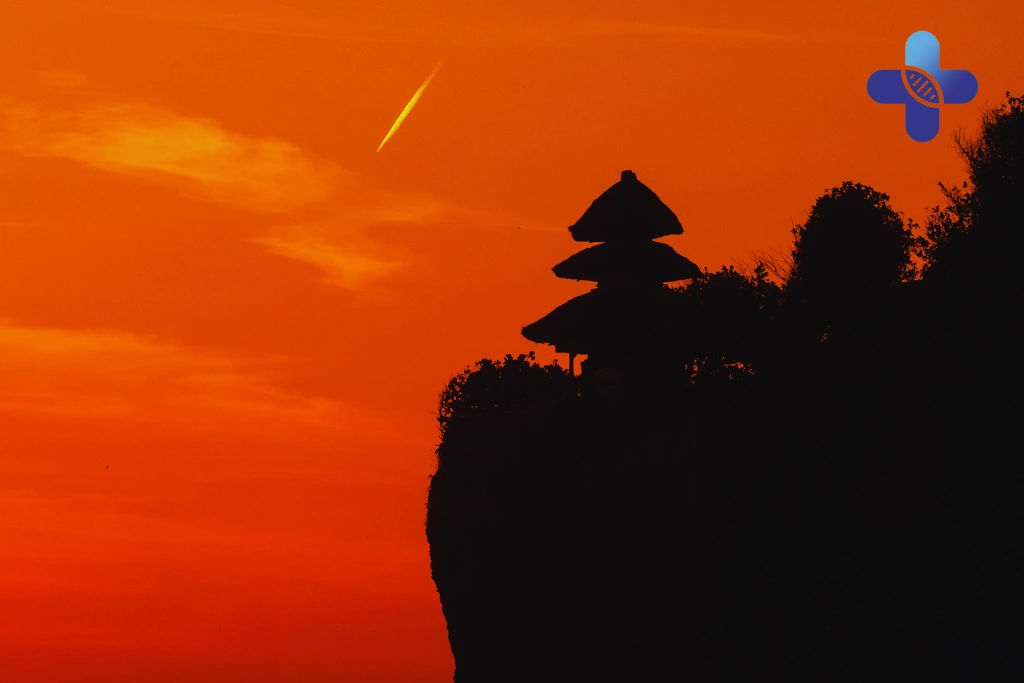 Conclusion Rabies Treatment in Bali – How Life Everyouth Ensures Safe Recovery