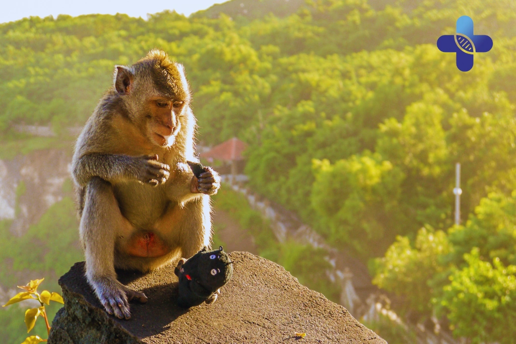 Conclusion Rabies Vaccine for Expats in Bali _ Life Everyouth