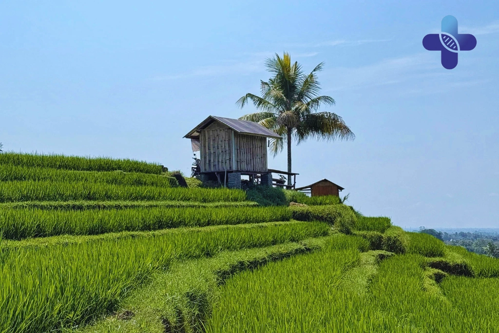 Conclusion Spicy Food Bali_ Why It Upsets Your Stomach & How to Adapt