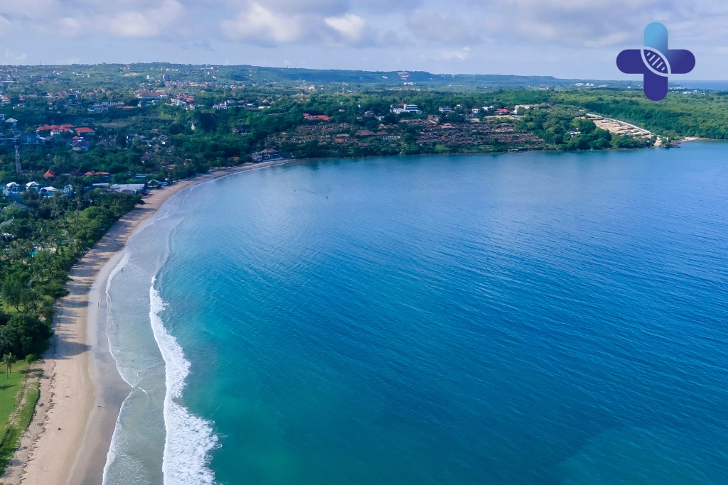 Conclusion The “Tropical Bug” in Bali That Travelers Often Overlook (2025)