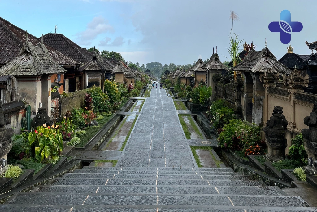 Conclusion Vomiting in Bali_ When to Seek Medical Help