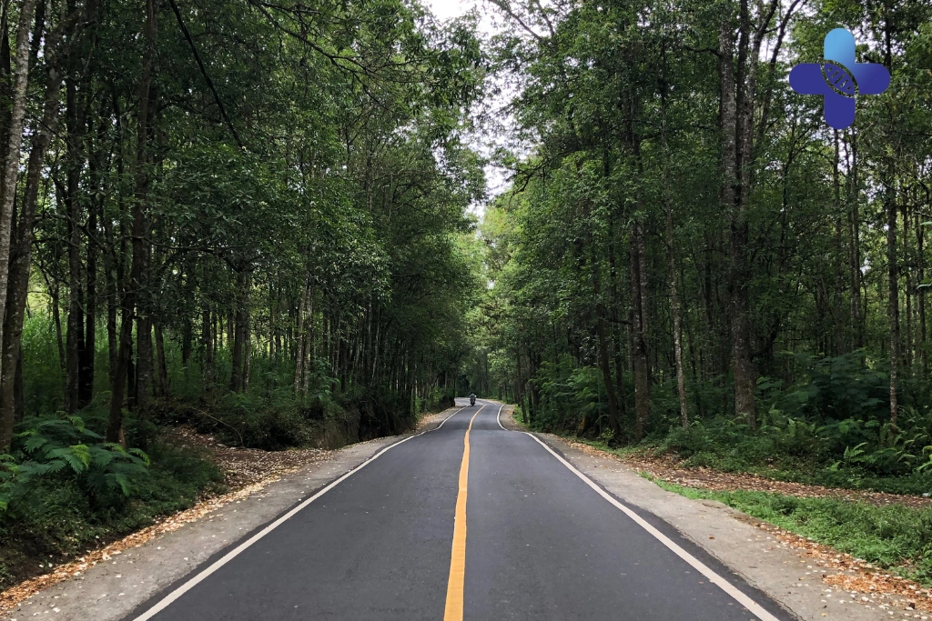 Conclusion What to Eat with Bali Belly_ Safe Foods & Drinks