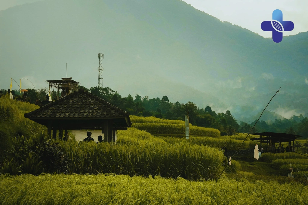 Conclusion Why Travel Stomach Issues Happen and How to Avoid Them in Bali