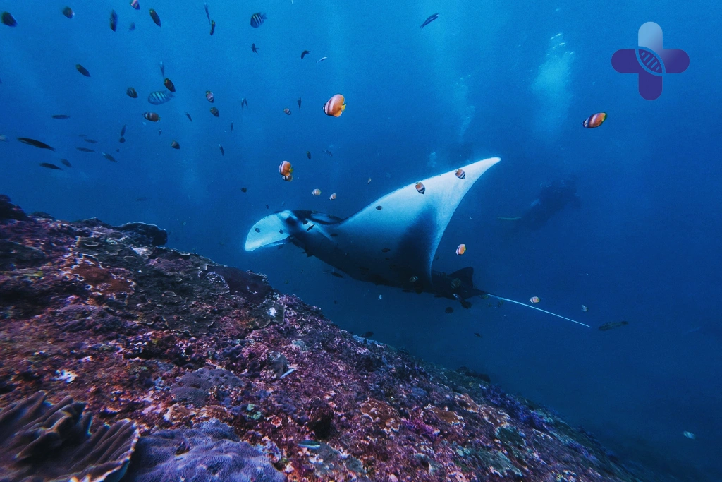 Conclusion Why You’re Still Sick After Taking Over-the-Counter Medication in Bali