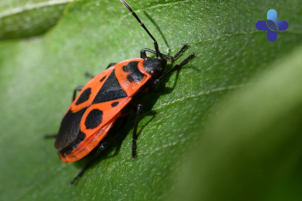 The Hidden “Tropical Bug” in Bali That Travelers Often Overlook
