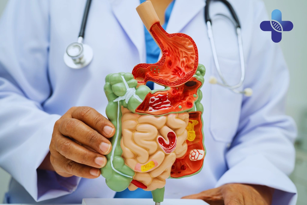 What to Do When You Feel Your Stomach Acting Up