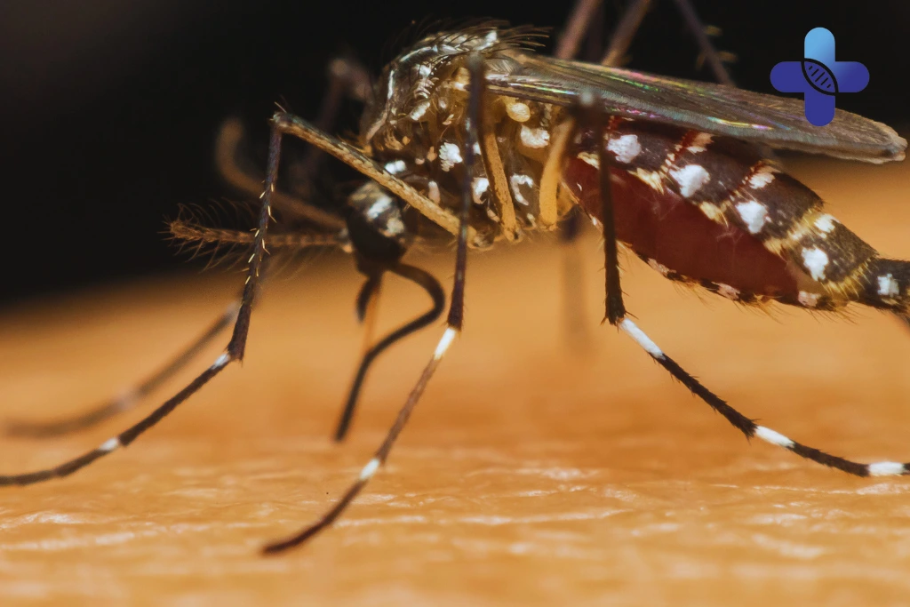 Why Diagnosis Matters in Bali