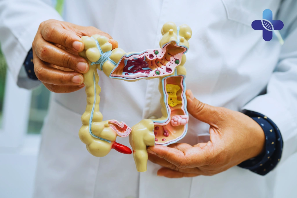 Your Gut Health in the Tropics_ Why It’s So Important While You’re in Bali