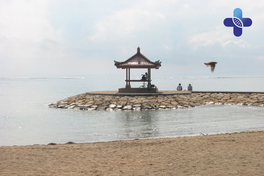 Conclusion Bali Flu Mild Symptoms_ Why Tourists Get Runny Nose