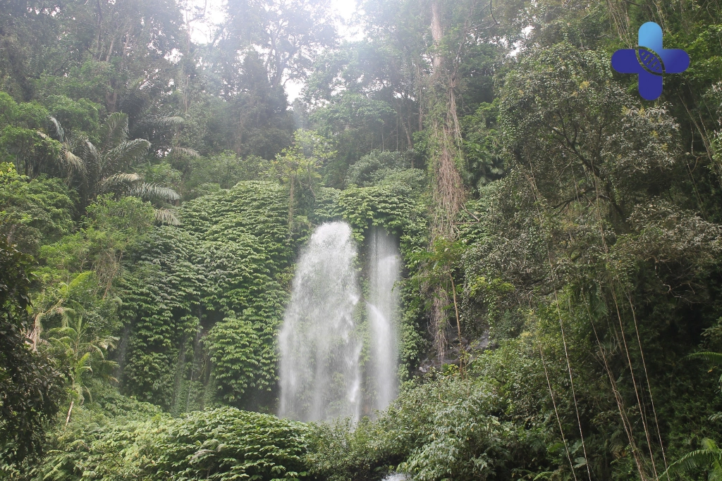 Conclusion Bali Flu in Elderly Travelers_ Why Seniors Are at Risk