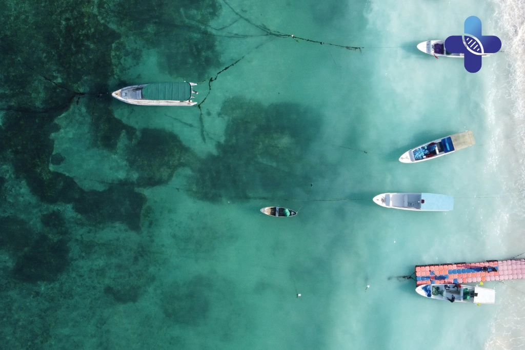 Conclusion Body Weakness in Bali_ Causes & When to Seek Help