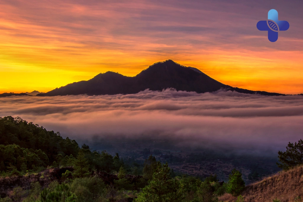 Conclusion Chest Discomfort Bali_ Causes and When to Seek Help