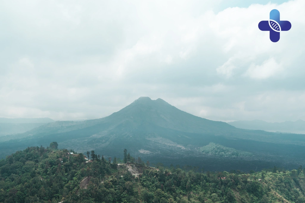 Conclusion How Bali Flu Climate Change Weakens Immunity