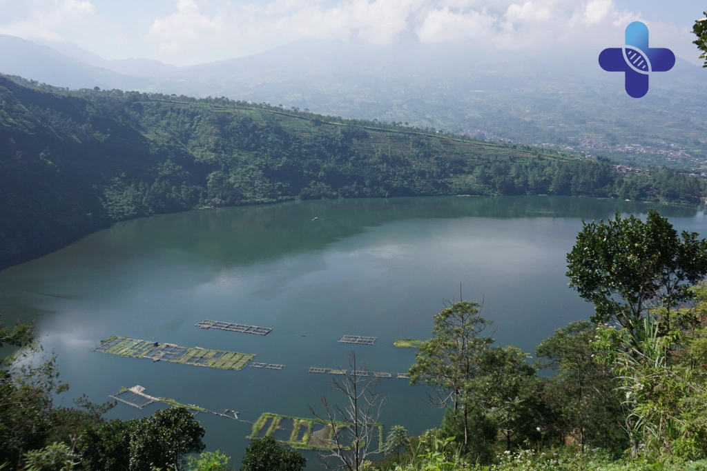 Conclusion Watery Eyes in Bali_ Causes and What to Know