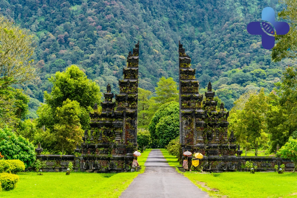 Conclusion - Early Ear Symptoms Travelers Ignore in Bali_ Why It’s Common