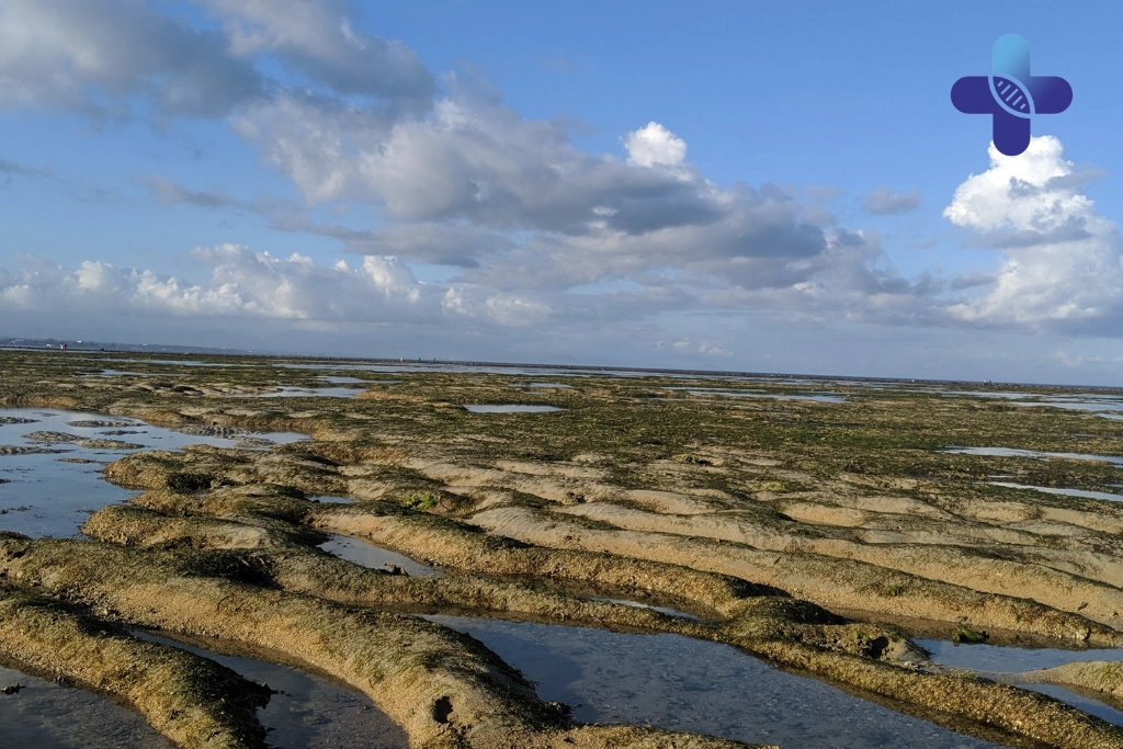 Conclusion – Emergency Numbers in Bali_ Medical & Safety Contacts for Tourists