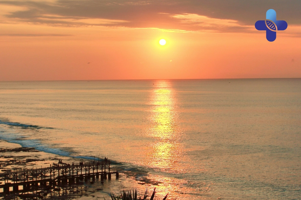 Food, Café Hopping, and Local Dining Experiences