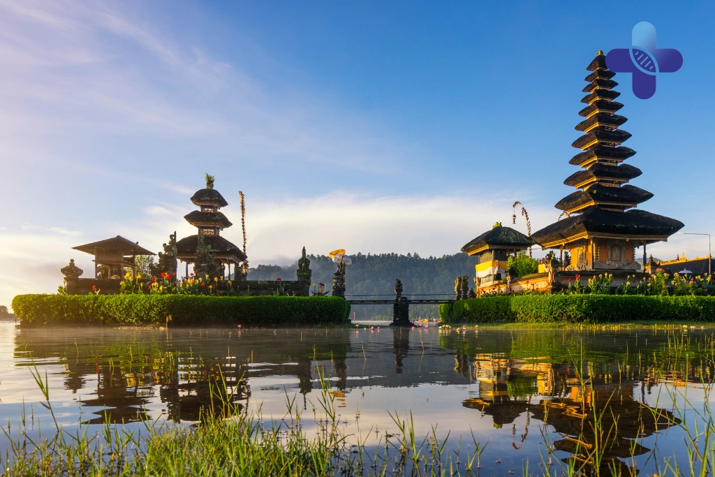 Things to Do in Bali_ Complete Guide to Activities, Beaches, Food, and Wellness for Travelers
