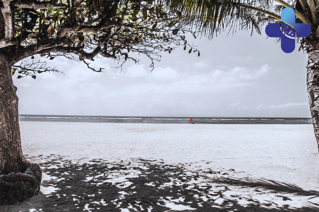 Conclusion - Cellular Microenvironment in Bali and Recovery