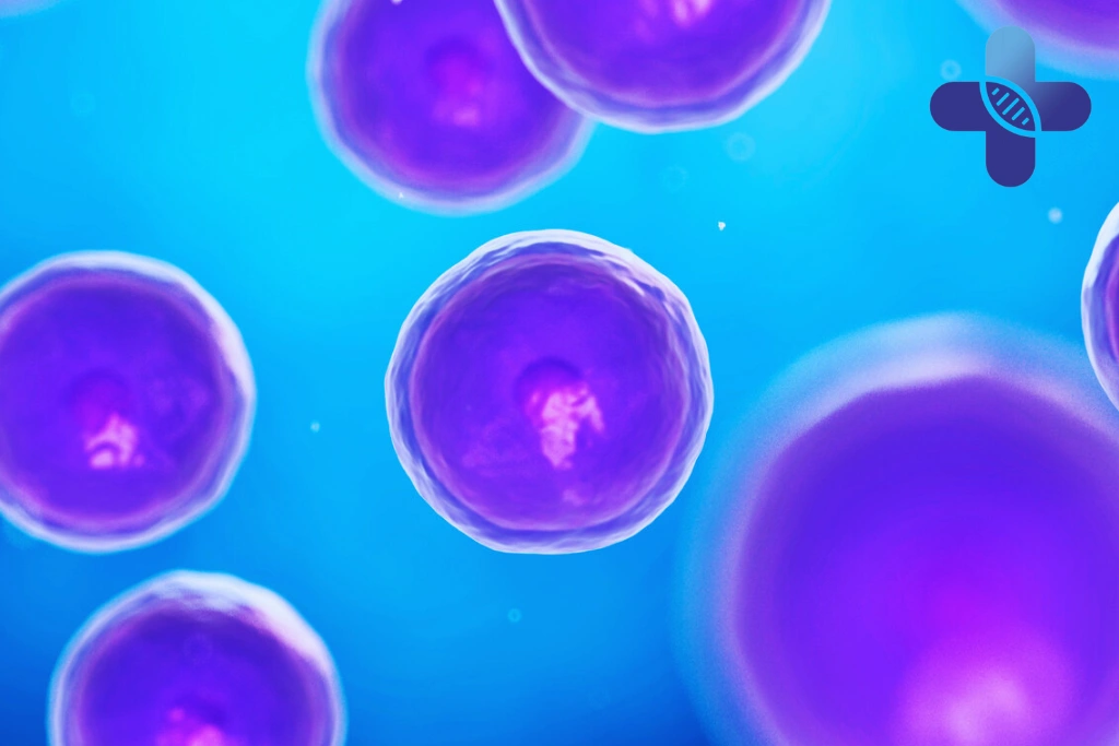 Conclusion - Cellular Signaling in Bali_ Why It Matters for Health