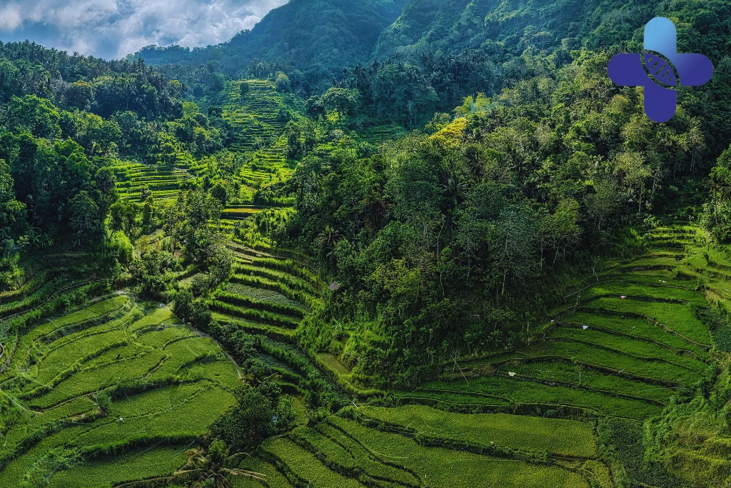 Conclusion - Flu Season in Bali_ What Travelers Often Notice