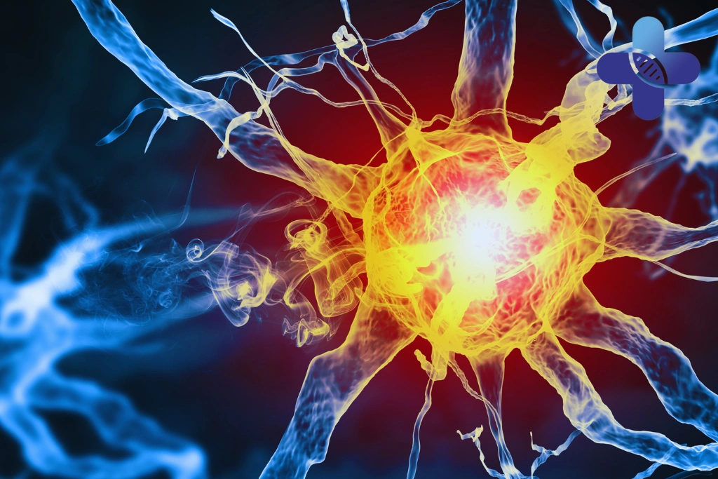 Conclusion - Growth Factors in Bali_ Tissue Balance Explained