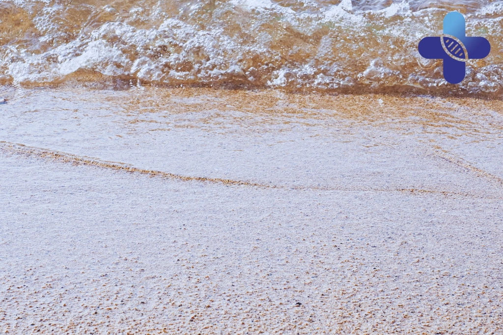 Conclusion - Inflammation Modulation in Bali_ Research Overview