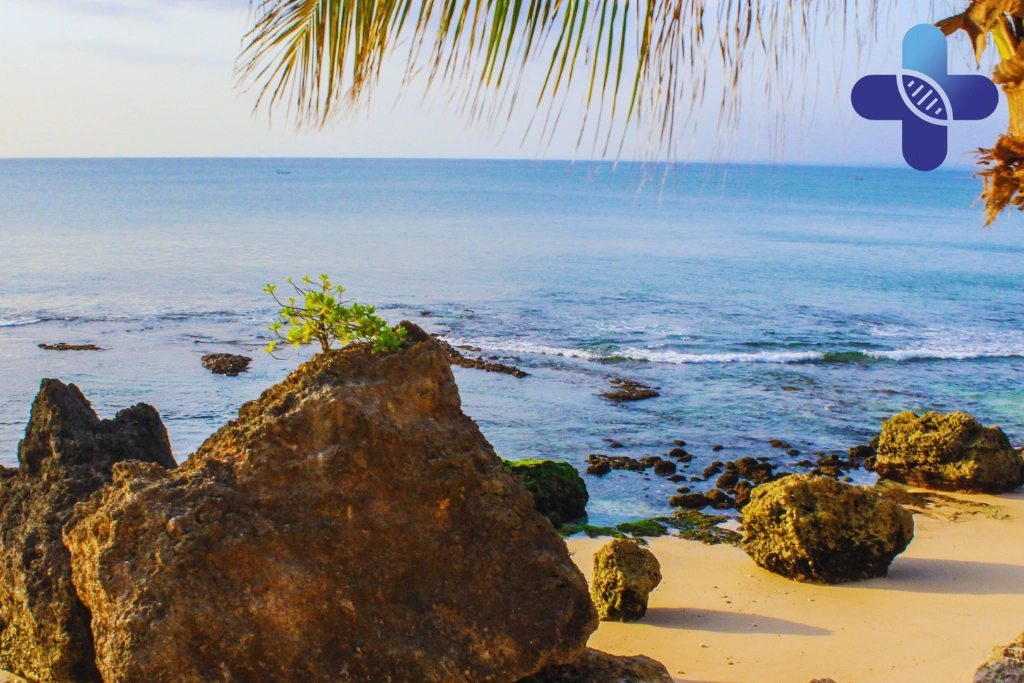 Conclusion - Low-Grade Inflammation in Bali What to Know