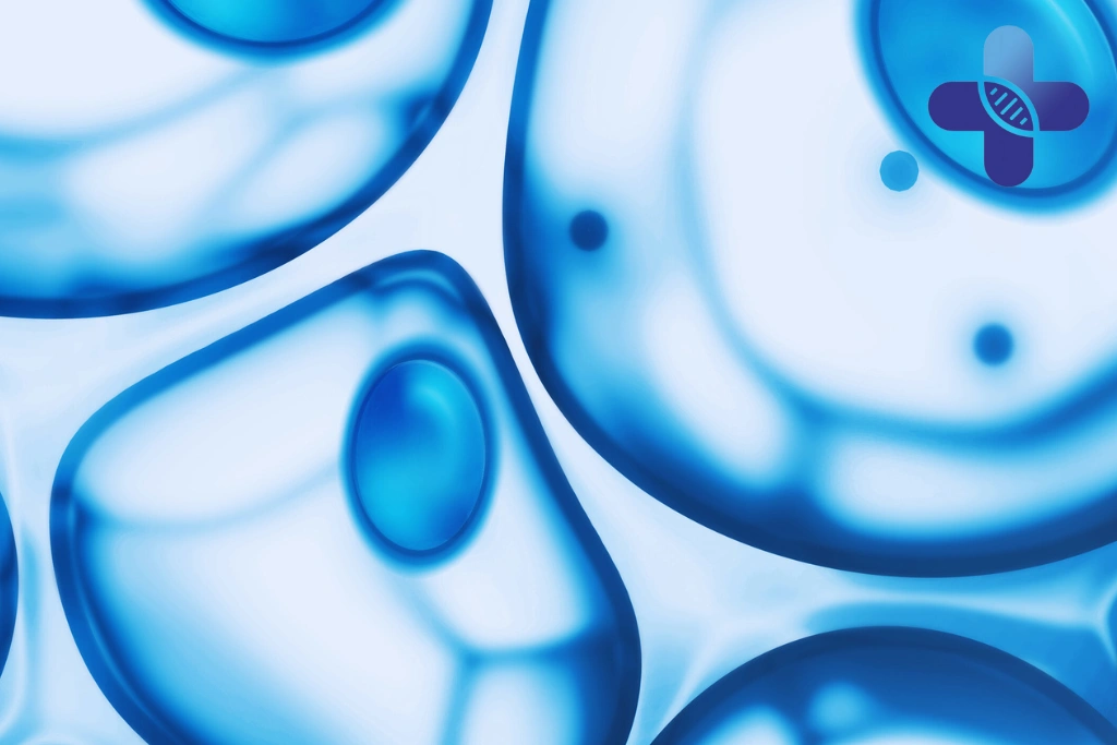 Conclusion - Natural Tissue Repair Therapy_ What Supports Healing