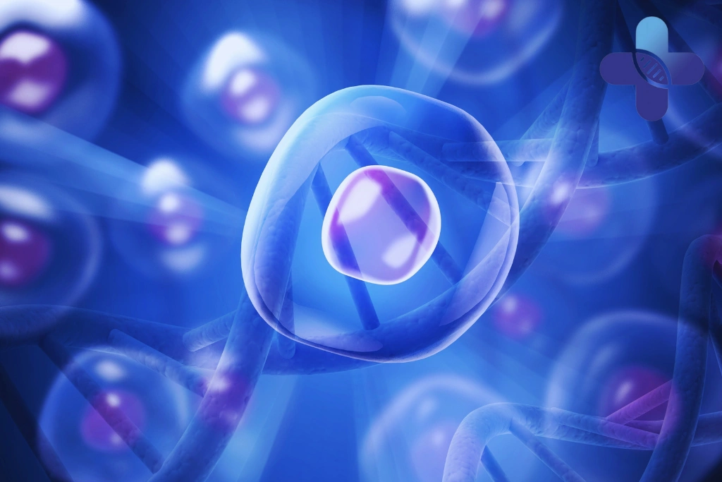 Conclusion - Premature Aging Signs Bali_ Early Symptoms to Notice