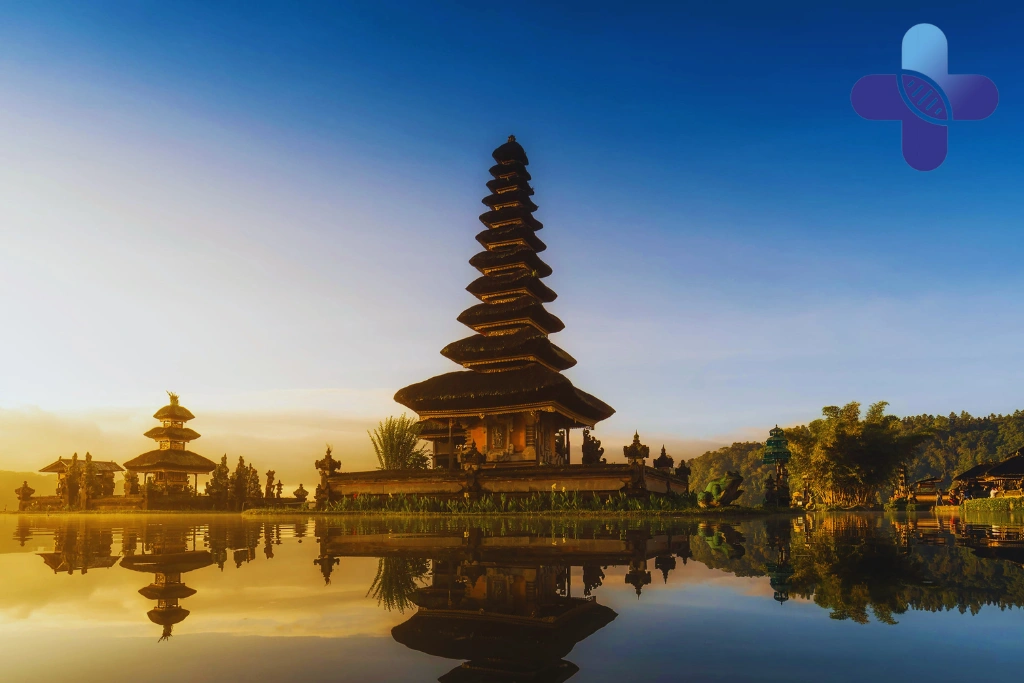 Conclusion - Secretome vs Whole-Cell Therapy in Bali