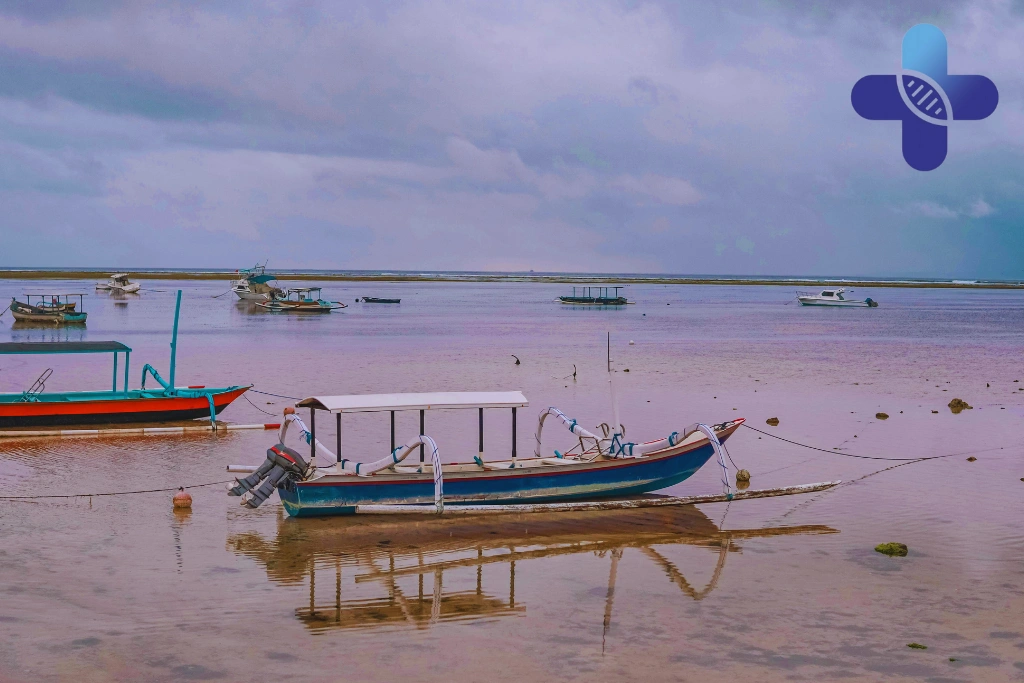 Conclusion - Self Treated Wounds Bali_ Why Healing Can Get Worse