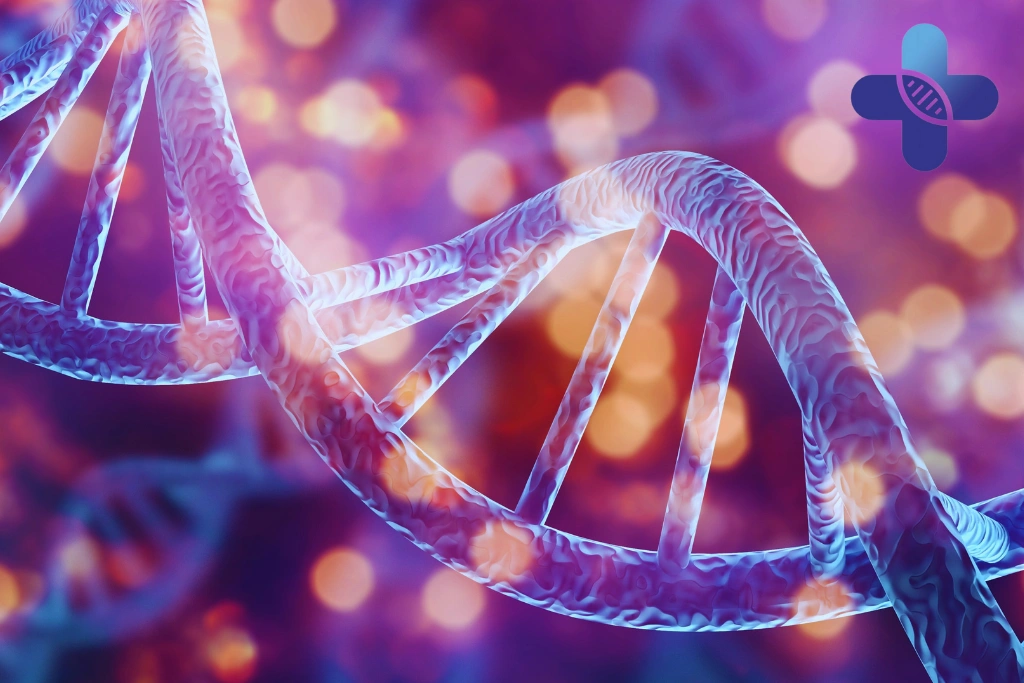 Conclusion - Slow Healing After 40_ What’s Happening in Your Body