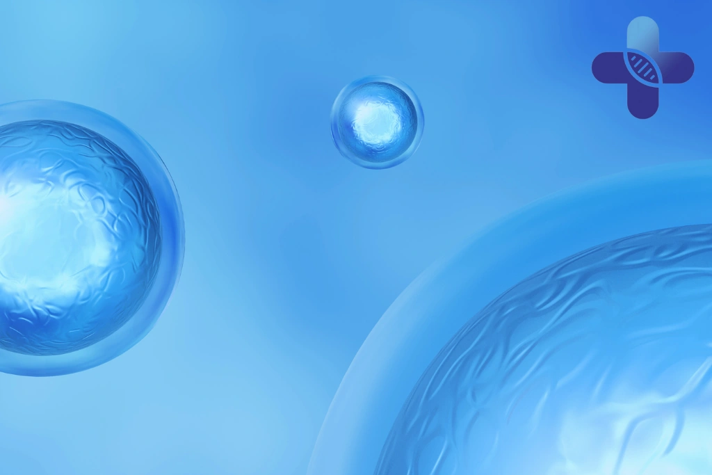 Conclusion - Stem Cell Therapy Cost in Bali_ What to Consider