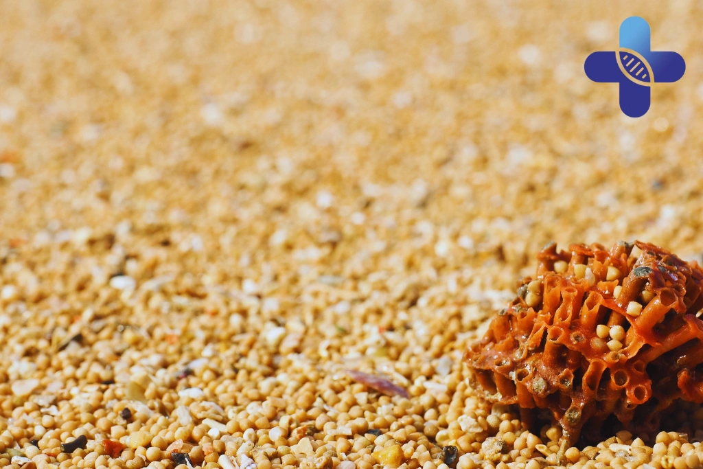 Conclusion - Stem Cell Therapy Sanur_ Calm Recovery in Bali