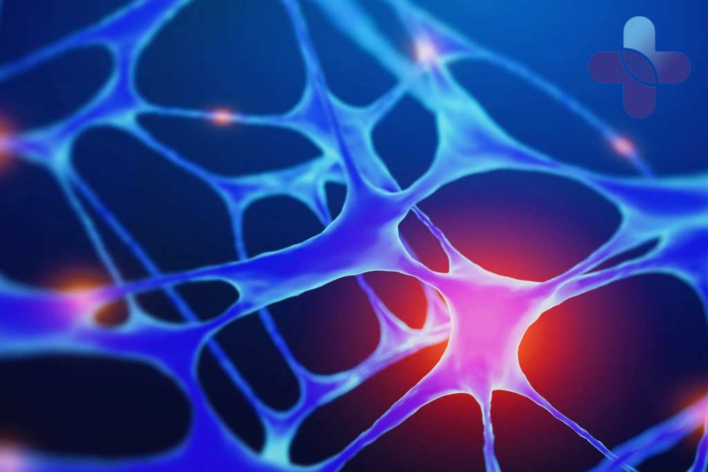 Conclusion - Stem Cell vs PRP in Bali_ What’s the Difference