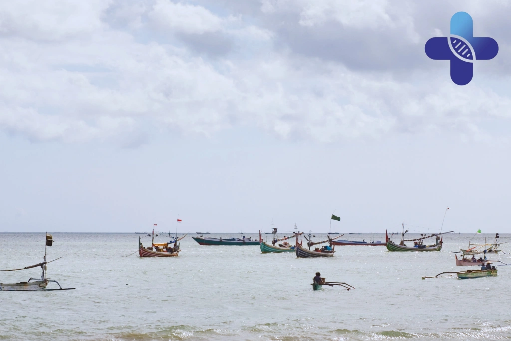 Conclusion - Why Tissue Adaptation Slows in Bali With Age