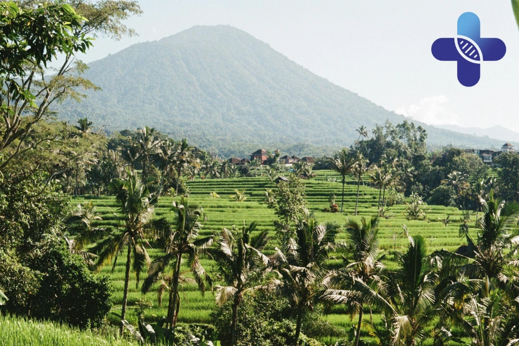 Conclusion – Ear Infection Treatment in Bali_ What Travelers Can Expect