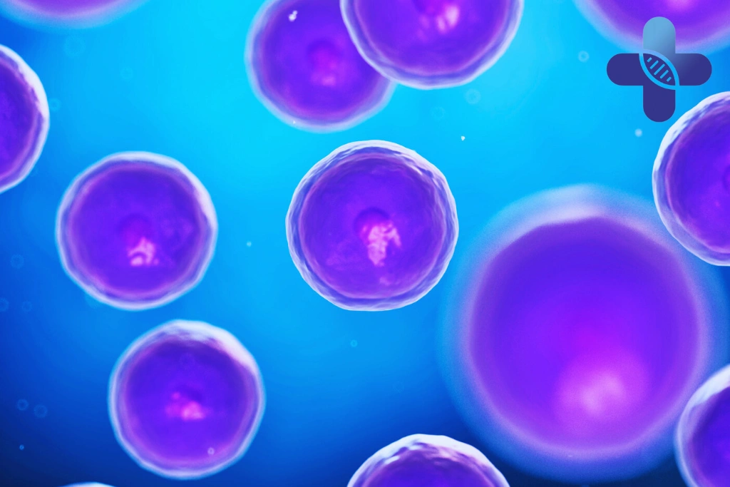 How Growth Factors Influence Inflammation and Tissue Stability