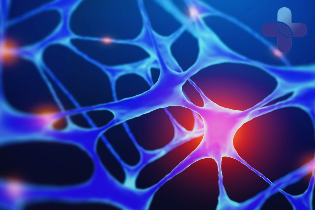 How Inflammation and Cellular Signaling Interact