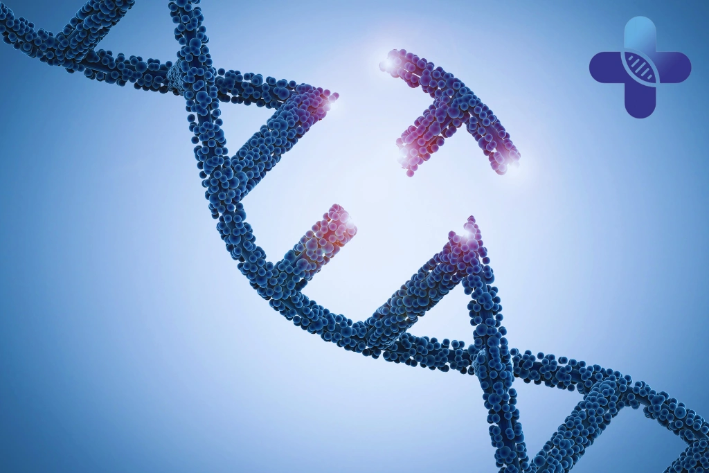 Jimbaran as a Recovery-Friendly Area